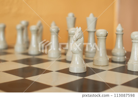 Chess on a chessboard Chess on a chessboard 113087598