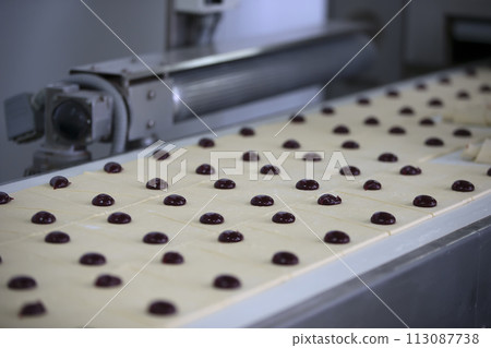 Industrial line for baking cookies. Wholesale professional production of culinary products 113087738