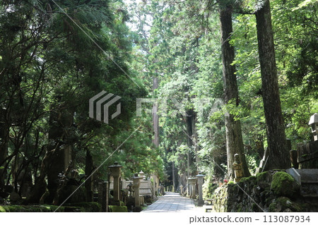 Koyasan/Okunoin (Koya Town, Wakayama Prefecture) Koyasan/Okunoin (Koya Town, Wakayama Prefecture) 113087934
