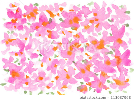 Cherry blossoms painted in watercolor 24330pix7 113087968