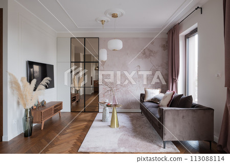Living room with couch, table, and TV in an elegant house interior Living room with couch, table, and TV in an elegant house interior 113088114