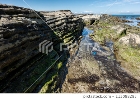 Scenery of the coast in front of Susaki Shrine, Tateyama City, Chiba Prefecture Scenery of the coast in front of Susaki Shrine, Tateyama City, Chiba Prefecture 113088285