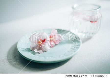 Cherry blossoms in a glass container Cherry blossoms in a glass container 113088813