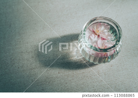 玻璃容器中的櫻花 玻璃容器中的櫻花 113088865