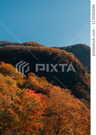 從伊呂波坂看到的紅葉山脈 113088886
