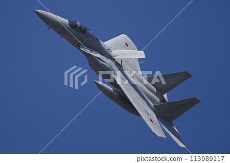 F-15 Eagle 113089117
