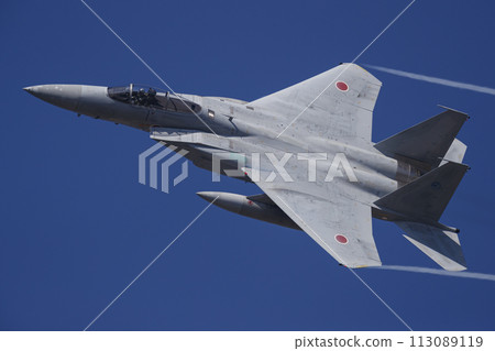 F-15 Eagle 113089119