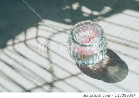 玻璃容器中的櫻花 113089384