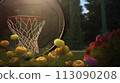 Serene Backyard Basketball Hoop View 113090208