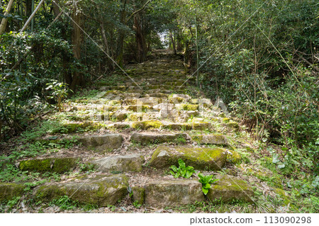 觀音寺城的石階(滋賀縣近江八幡市) 觀音寺城的石階(滋賀縣近江八幡市) 113090298