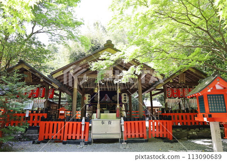 [京都府] 嵯峨野野宮神社 113090689