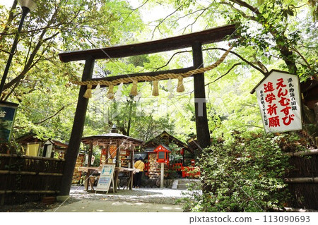 [京都府] 嵯峨野野宮神社 113090693