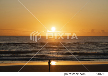 Silhouette of an isolated confident woman on the seashore during sunset 113090696