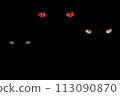 eyes of different colors of three monsters on a black background 113090870