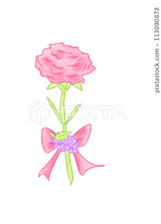  Carnation on Mother's Day 113090878