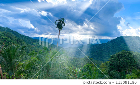 Beautiful nature view of mountains with trees and blue sky and shining light. Nature beauty concept 113091186