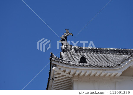 World Cultural Heritage Himeji Castle World Cultural Heritage Himeji Castle 113091229