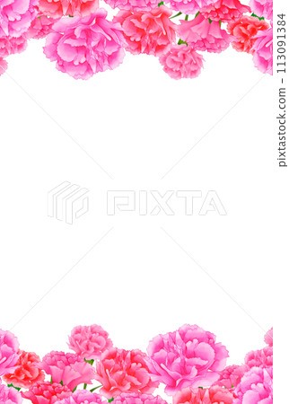 Gorgeous carnation frame background Mother's Day White background Transparent Vertical Gorgeous carnation frame background Mother's Day White background Transparent Vertical 113091384