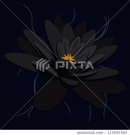 Black water lily artistic vector illustration 113092364