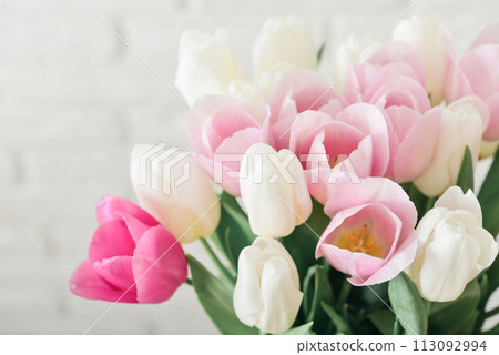 Bouquet of pink and white tulips in vase Bouquet of pink and white tulips in vase 113092994