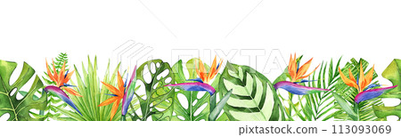 Seamless border with tropical leaves and flowers isolated on white background. Strelitzia flower. Watercolor hand drawn illustration. Perfect for print and decoration. 113093069