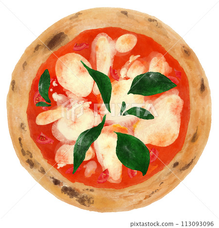 Margherita pizza 113093096
