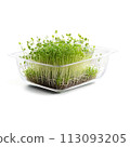 A glass dish filled with microgreens, captured with a soft, warm light to create a cozy atmosphere. The 113093205