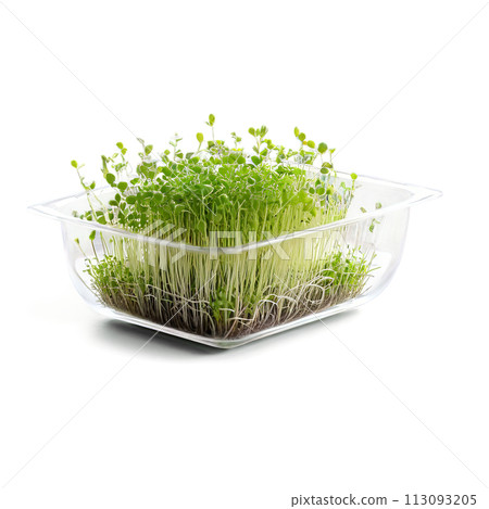 A glass dish filled with microgreens, captured with a soft, warm light to create a cozy atmosphere. The A glass dish filled with microgreens, captured with a soft, warm light to create a cozy atmosphere. The 113093205