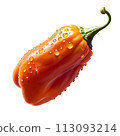 A close-up shot of a single orange Caribbean Red Habanero pepper, with water droplets 113093214