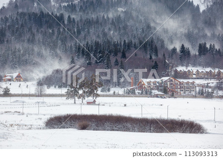 View of Bakuriani, winter resort in Georgia 113093313