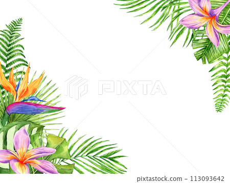 Tropical flowers and leaves frame. Watercolor exotic floral illustration. Botanical palm leaves, monstera. Template for packaging, greeting cards, wedding invitation 113093642