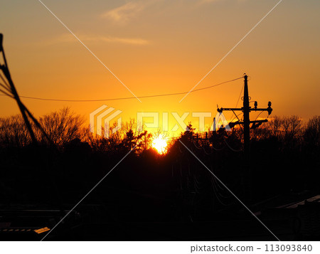 Sunset and telephone pole 113093840