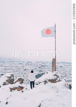 Torigasaki observation deck in winter Torigasaki observation deck in winter 113093908