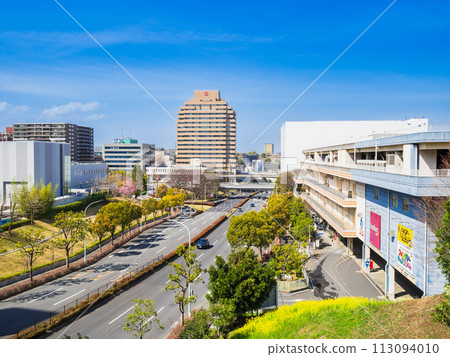 Tokyo Tama Center 113094010