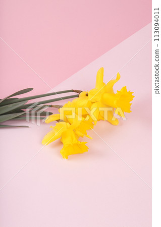 botanical, aesthetic, elegance, hipster, plant, contemporary, trend, flower, still life, bloom, nature, event, mothers day, floral, bouquet, copy space, narcissus, composition, romantic, springtime, 113094011