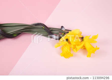 a plastic snake wrapped around a bouquet of daffodils 113094296