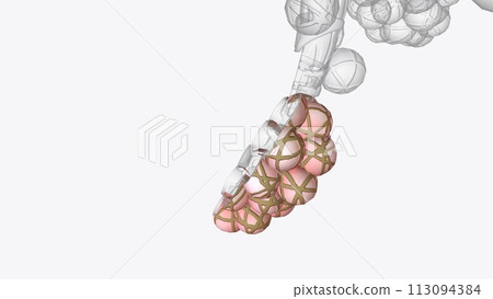 The bottom of the chest cavity is formed by the diaphragm. How Does Oxygen The bottom of the chest cavity is formed by the diaphragm. How Does Oxygen 113094384