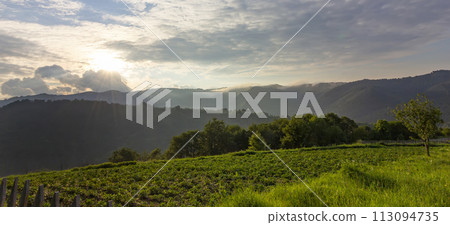 beautiful countryside beautiful countryside 113094735