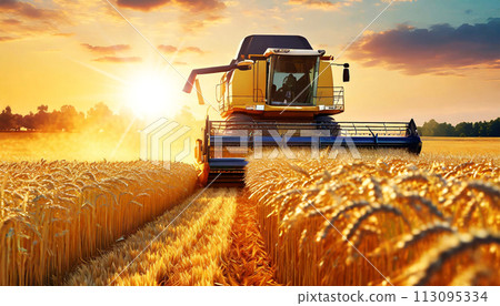 Combine Harvester in a Golden Wheat Field at Sunset - Generative Ai 113095334