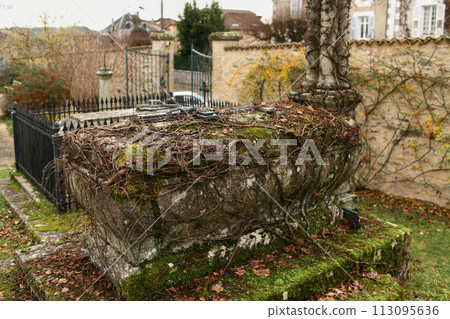 Abandoned grave with a roots in a cemetery Abandoned grave with a roots in a cemetery 113095636