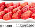 Delicious strawberry 113095860