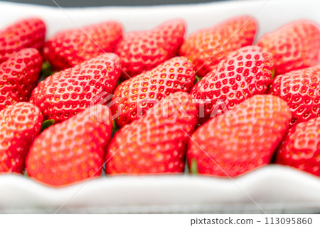 Delicious strawberry 113095860