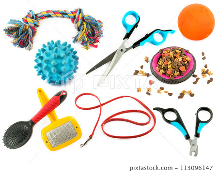 Set of toys, grooming items and other accessories for animal care isolated on a white background. Collage. 113096147