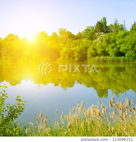 Landscape with a beautiful sunrise on a lake. Beautiful summer landscape. 113096152