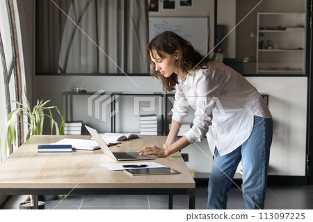 Focused Caucasian young entrepreneur woman working on project 113097225
