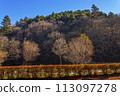 Autumn landscape with trees. 113097278