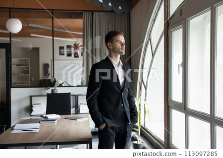 Serious company owner man in formal suit posing in office 113097285