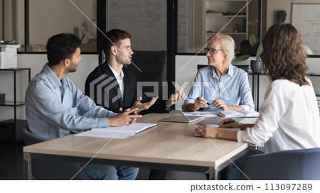 Elder business team leader woman holding meeting with diverse team 113097289