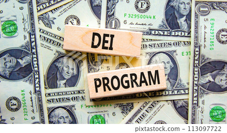 DEI diversity equity inclusion program symbol. Blocks with words DEI program on beautiful background from dollar bills. Business DEI diversity equity inclusion program concept. Copy space. DEI diversity equity inclusion program symbol. Blocks with words DEI program on beautiful background from dollar bills. Business DEI diversity equity inclusion program concept. Copy space. 113097722