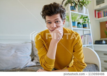 Portrait of handsome guy looking at camera, sitting on couch at home Portrait of handsome guy looking at camera, sitting on couch at home 113098486